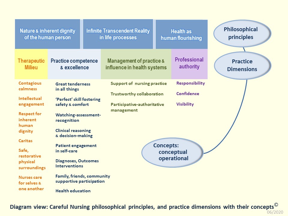 which is an example of independent thinking in nursing practice